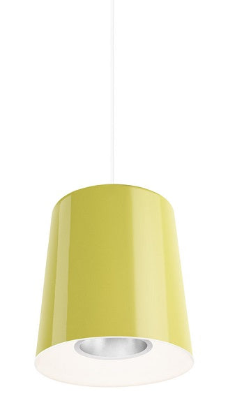 Hide large riippuvalaisin