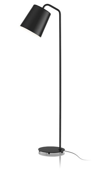 Hide Large Lattiavalaisin