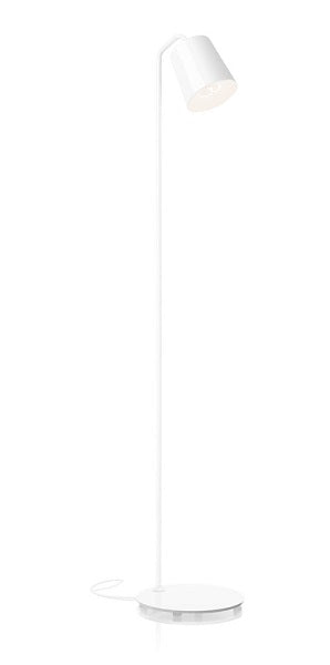 Hide Small Lattiavalaisin